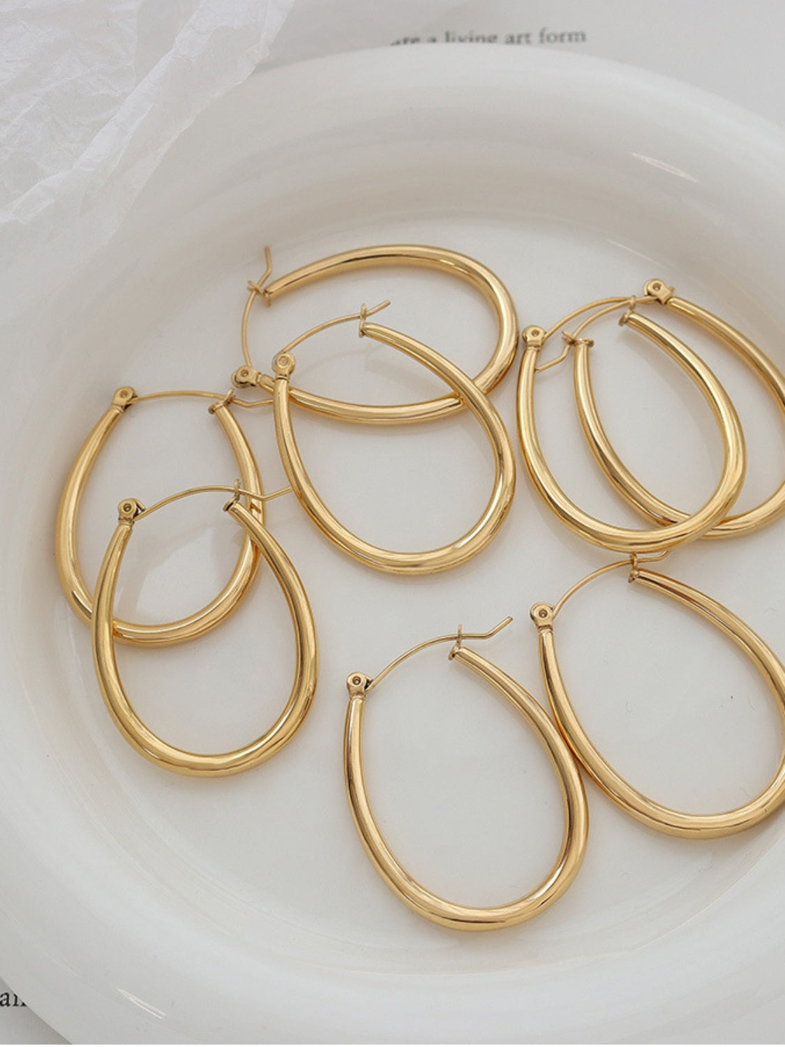 18K Gold-Plated Titanium Steel Earrings OutfitFlow