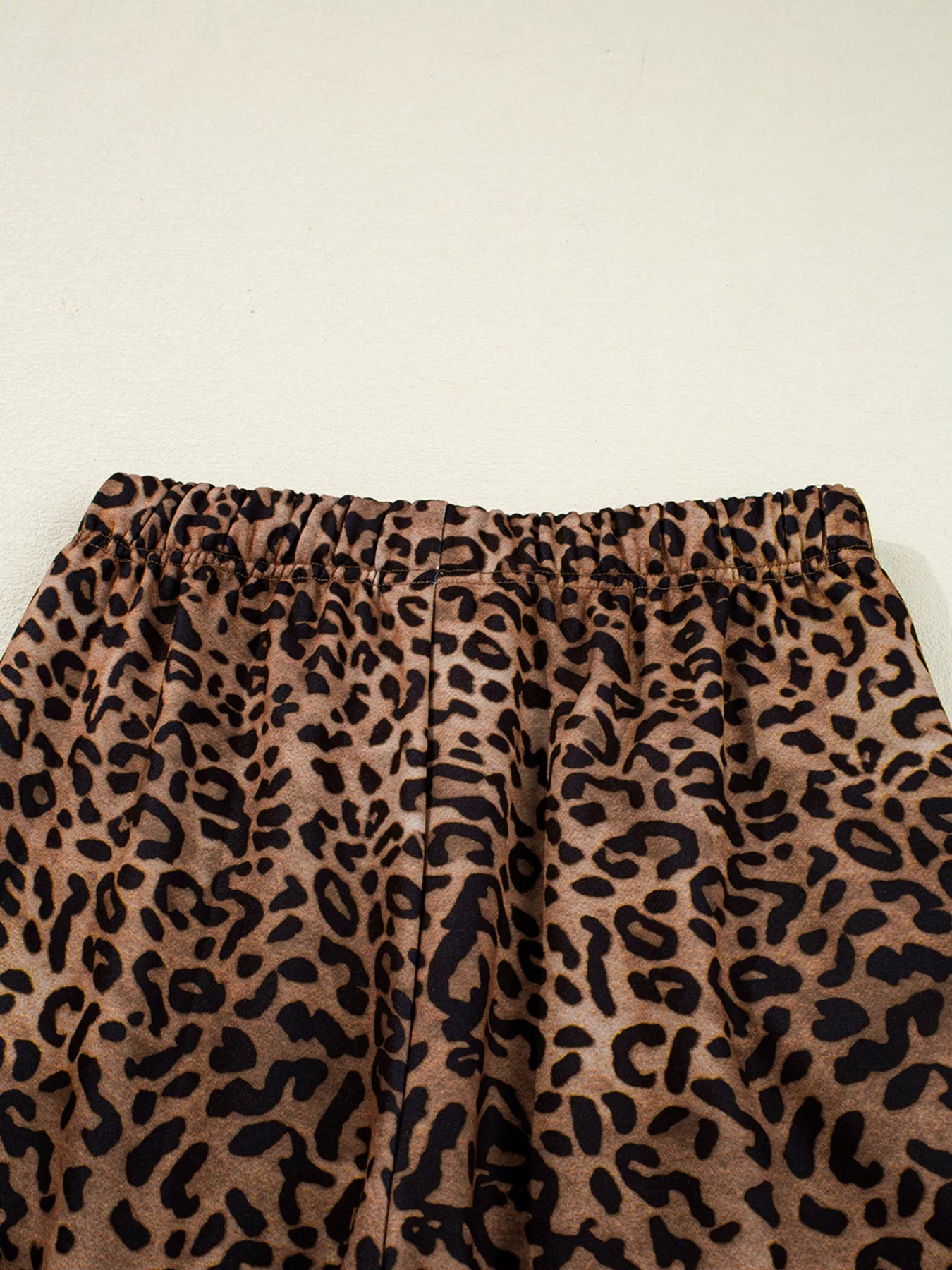 Leopard Print Contrast Trim Long Sleeve Top and Pants Set OutfitFlow
