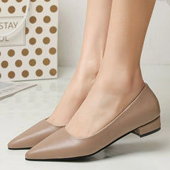 Pointed Toe Low Heel Pump OutfitFlow