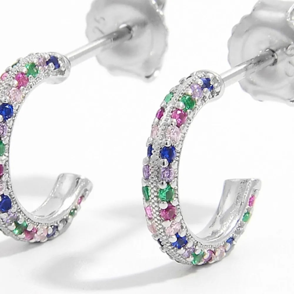 925 Sterling Silver Contrast Zircon Earrings OutfitFlow