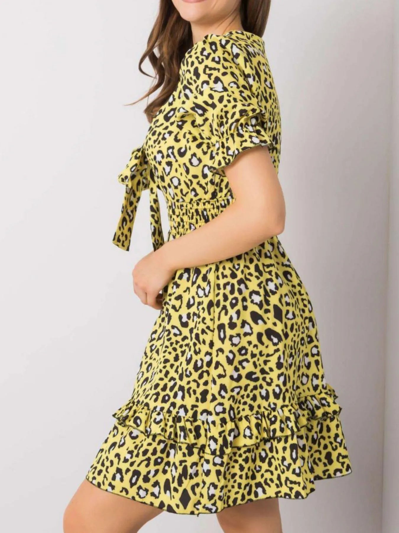 Leopard Print Tie Front Short Sleeve Mini Dress OutfitFlow
