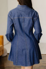 Denim Shirt Collar Long Sleeve Flared Mini Dress Trendsi