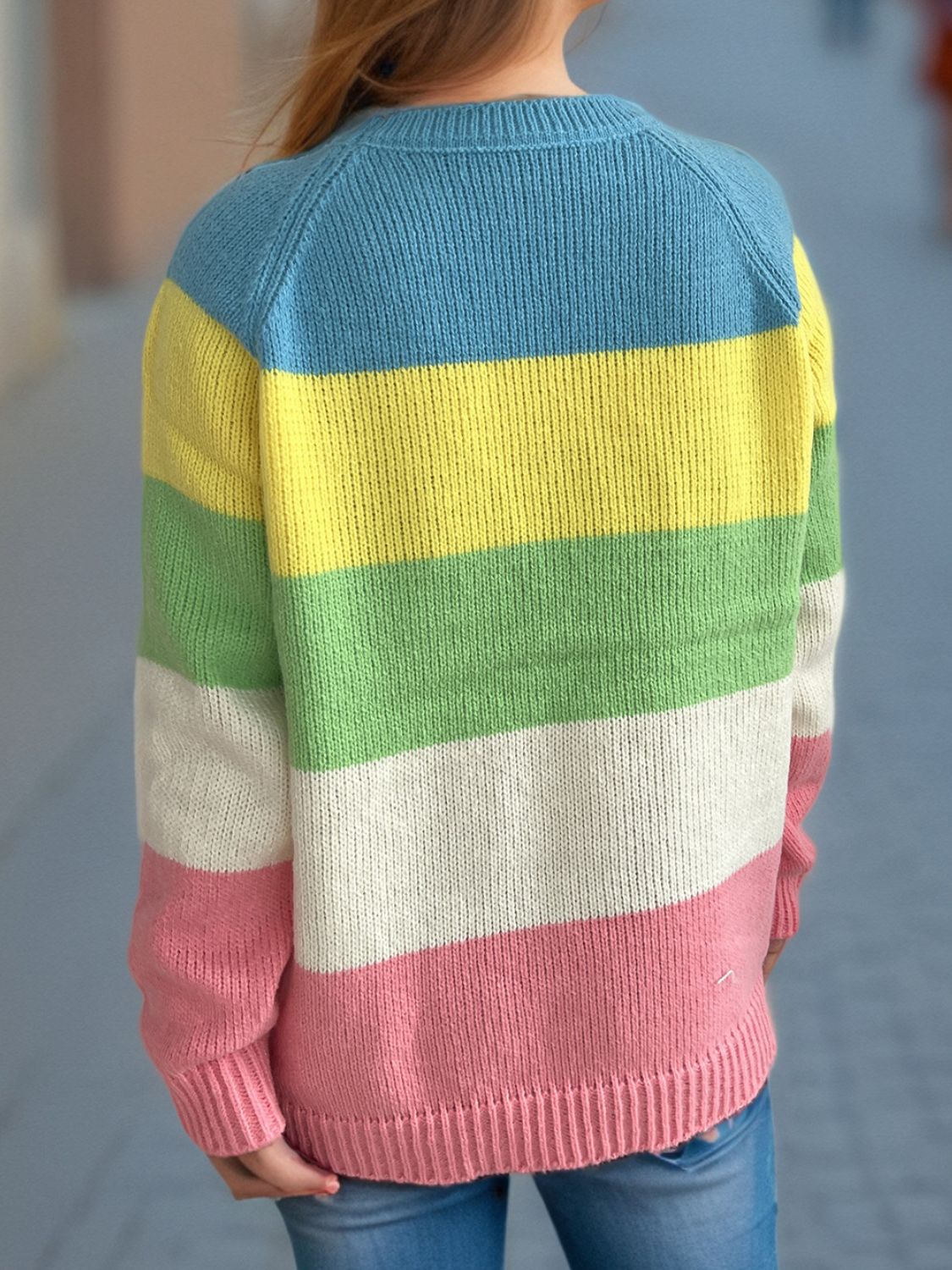 Color Block Round Neck Long Sleeve Sweater