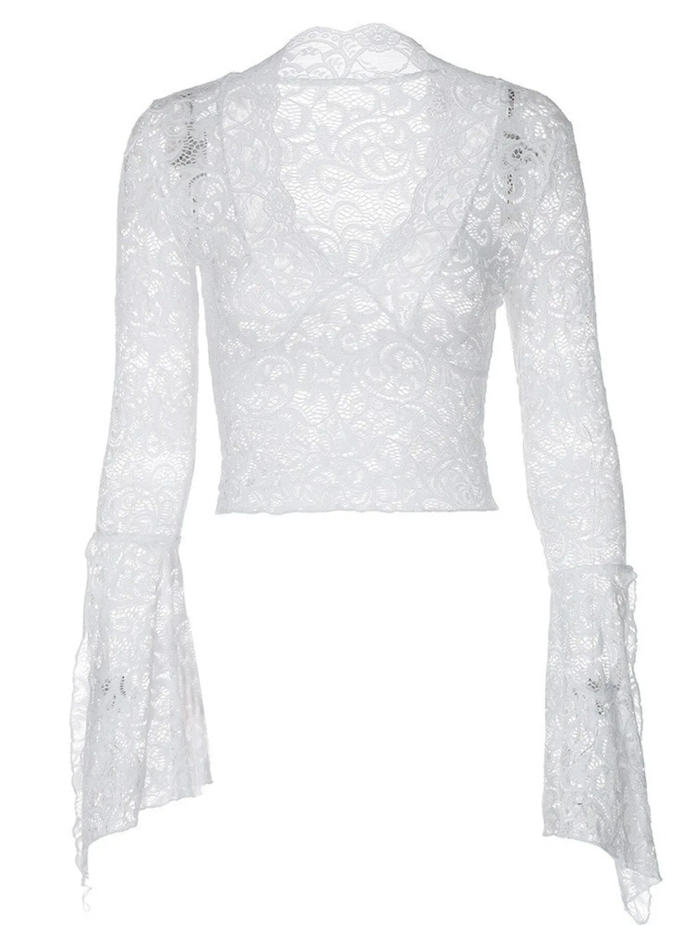 Lace Long Sleeve Deep V-Neck Blouse OutfitFlow