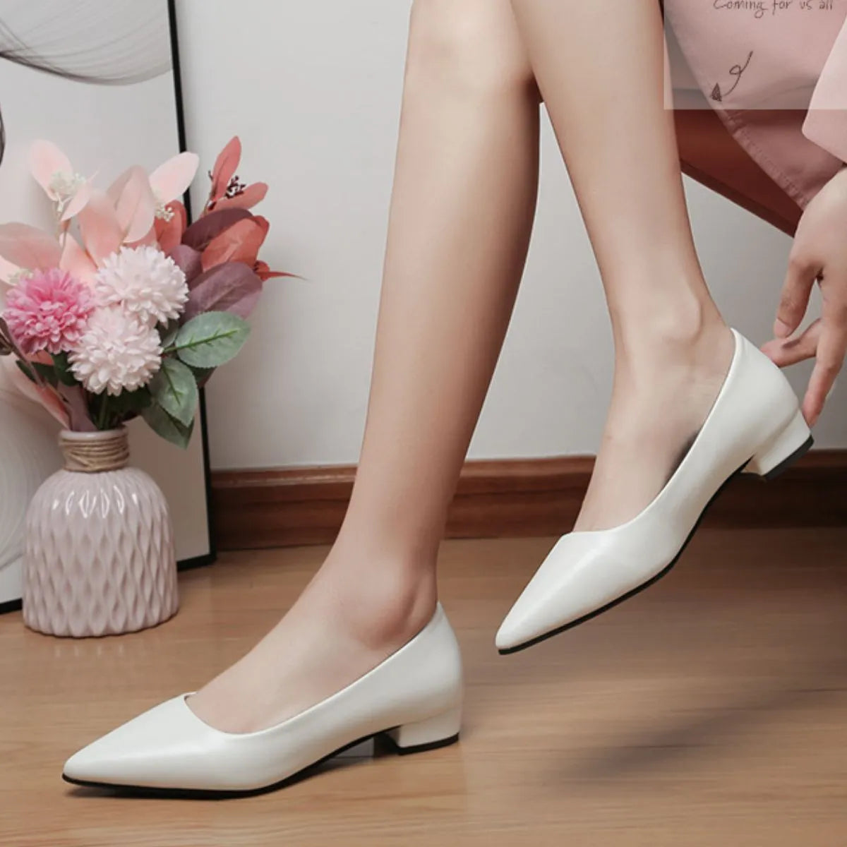 Pointed Toe Low Heel Pump OutfitFlow