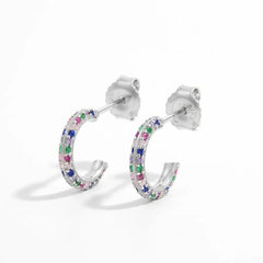 925 Sterling Silver Contrast Zircon Earrings OutfitFlow